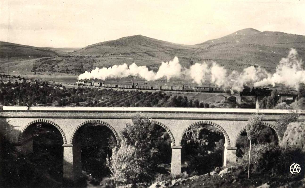 Saida 519- Train sortant de la gare COLLECTION DES AMIS DE ND DE SANTA CRUZ.jpg